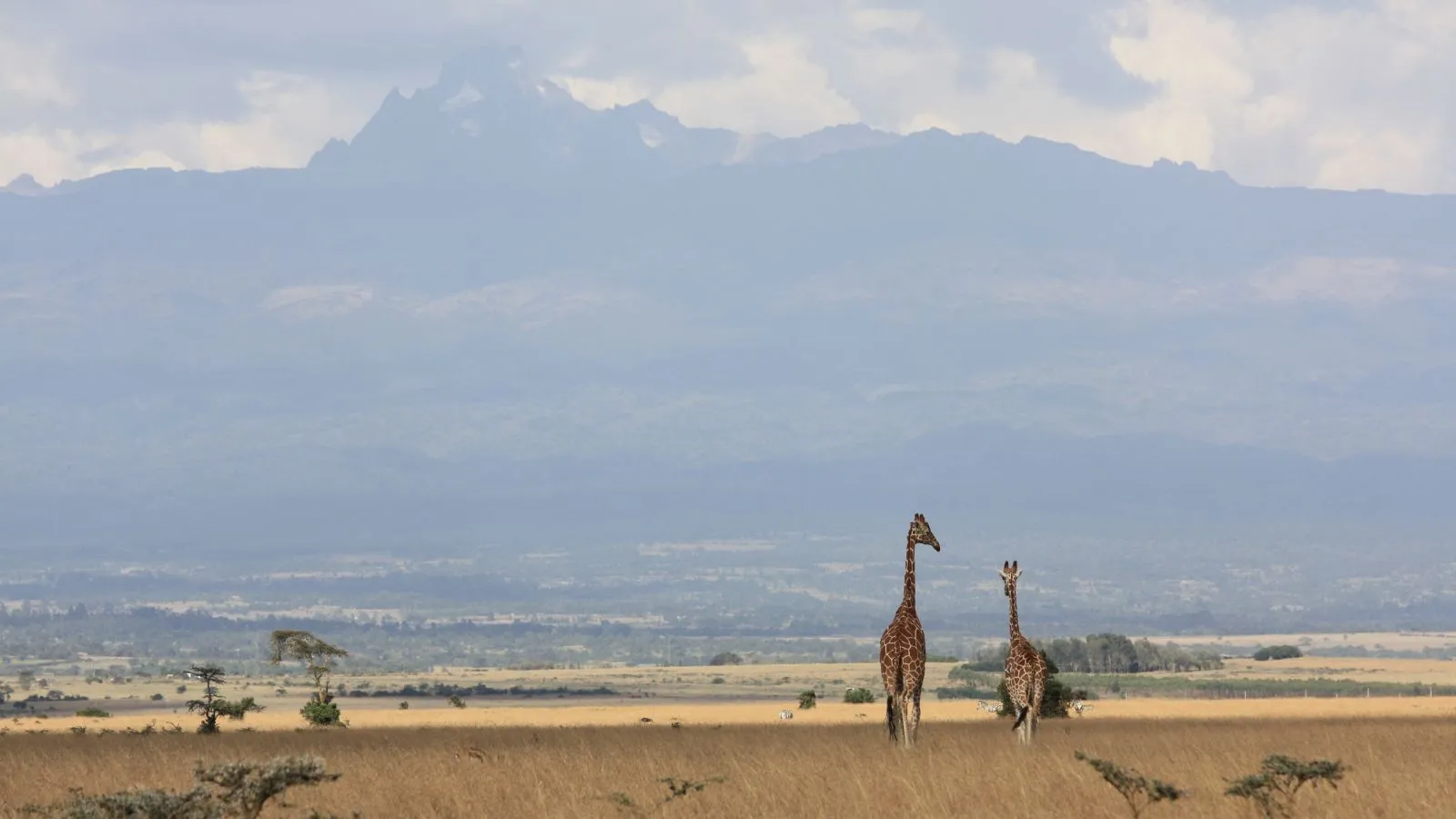 7 Days Mara, L.Nakuru, Samburu & Aberdare Safari - Image 14