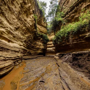 Lake Naivasha-Hellsgate Day Trip
