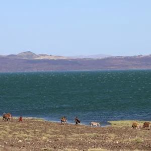 7 Days North East Lake Turkana Tour